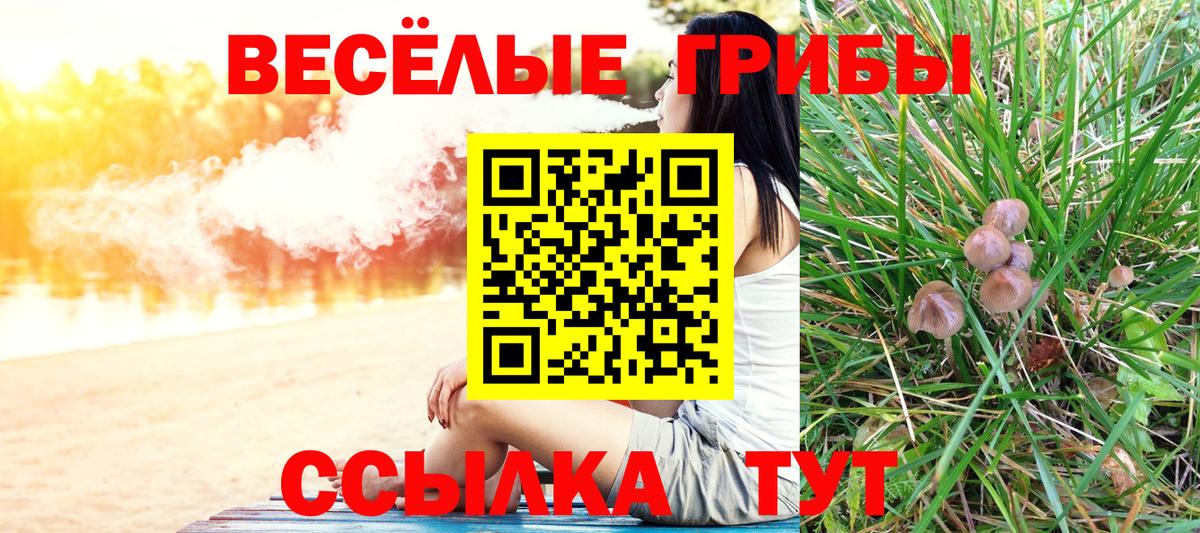 Галлюциногенные грибы Cubensis Кулебаки